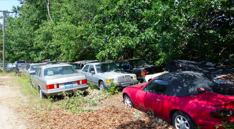 Illustration for article titled One Year Later, Michigan Man Ordered to Sell 20 Cars a Month Is Out 160 Cars but Remains Upbeat